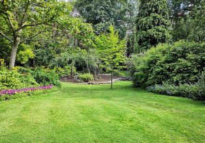 Optimiser l'expérience du jardin à Manneville-la-Raoult